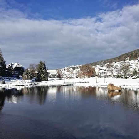 Im Salzgassle Apartment Schonach im Schwarzwald Bagian luar foto