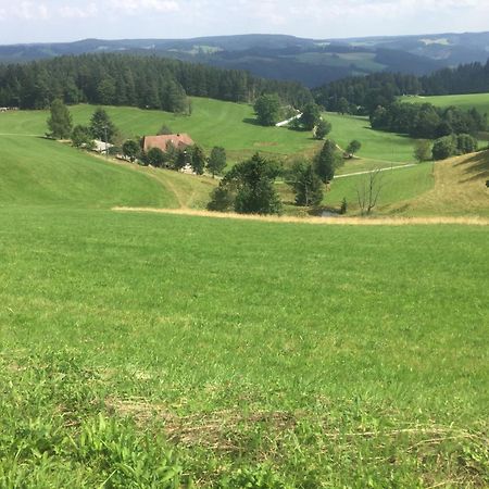 Im Salzgassle Apartment Schonach im Schwarzwald Bagian luar foto