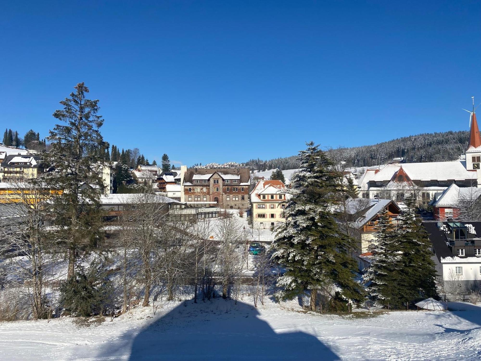 Im Salzgassle Apartment Schonach im Schwarzwald Bagian luar foto